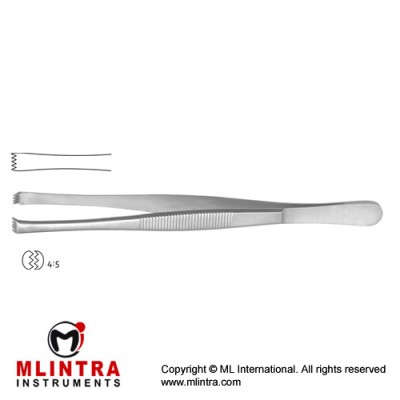 Stone Dissecting Forceps 4 x 5 Teeth Stainless Steel, 15 cm - 6"